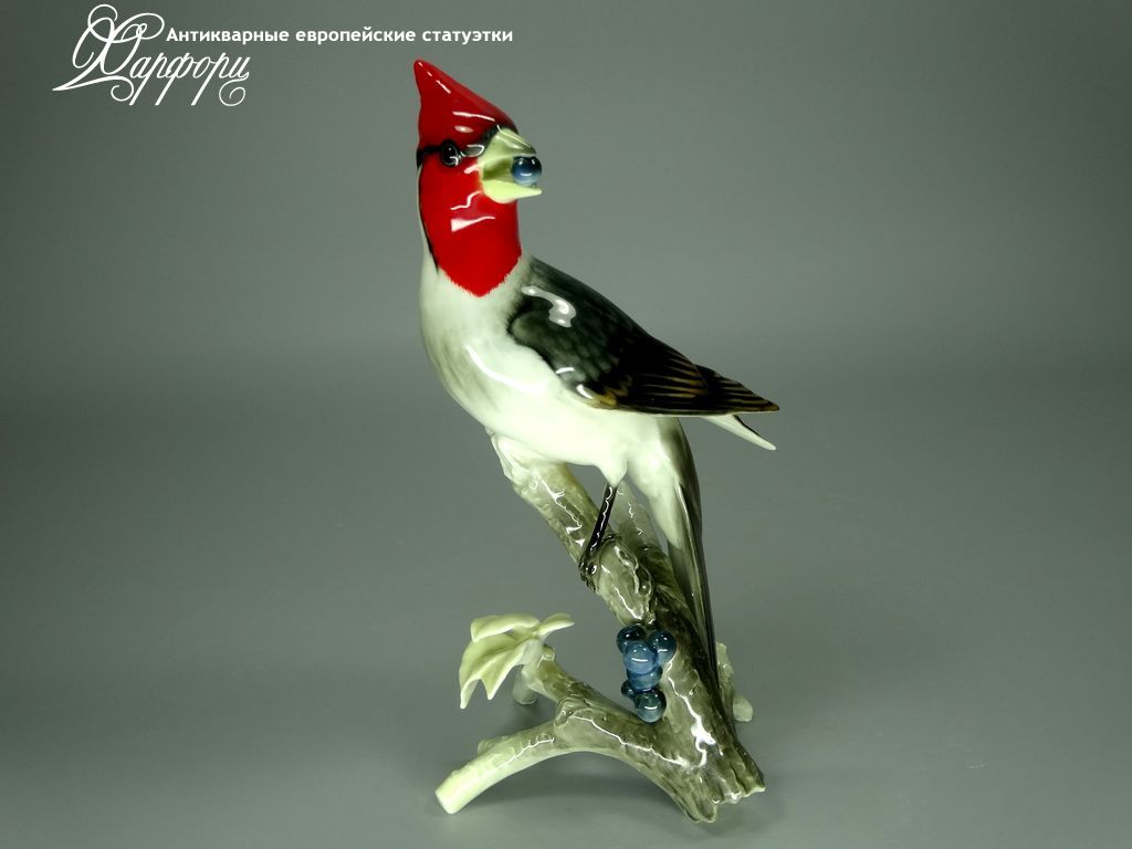 Купить фарфоровые статуэтки Hutschenreuther, Красный кардинал, Германия